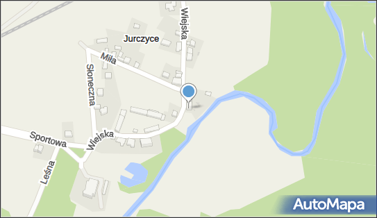 Transport Ciężarowy Cymerman Witold, Jurczyce 12, Jurczyce 55-080 - Przedsiębiorstwo, Firma, NIP: 9131196273