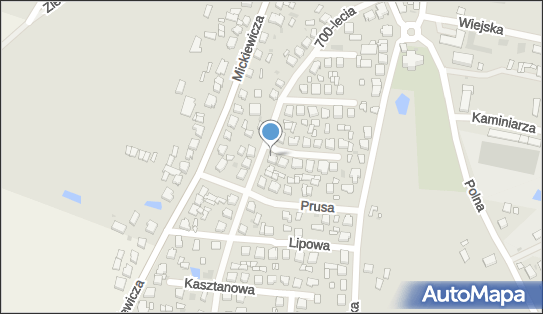 Transport Ciężarowy Ryszard Skiba, Brzozowa 2, Jutrosin 63-930 - Przedsiębiorstwo, Firma, NIP: 6990009999