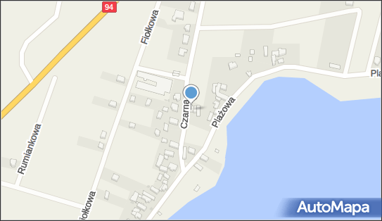 Transport Ciężarowy Silnicki i Synowie Henryk Silnicki, Czarna 4 59-216 - Przedsiębiorstwo, Firma, NIP: 6911003093