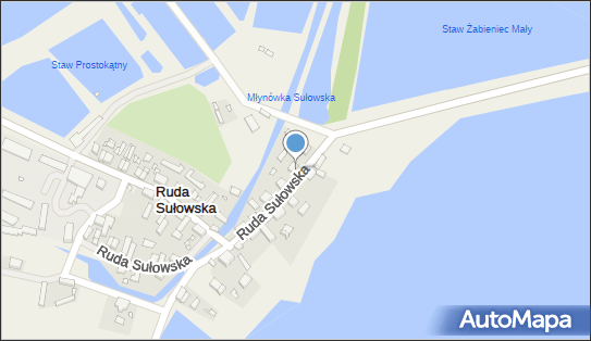 Transport Ciężarowy Stanisław Kaczor, Ruda Sułowska 30 56-300 - Przedsiębiorstwo, Firma, NIP: 9161010652