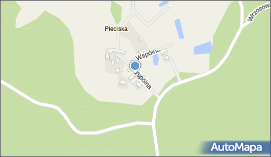 5891662477, Transport Ciężarowy Wojowski Wojciech 