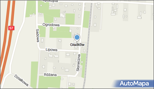 1230112134, Transport Drogowy Krajowy, Siadkowski Dariusz 