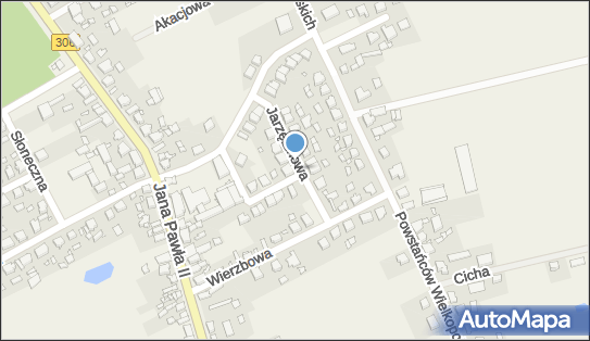Transport Drogowy Rzeczy, Jarzębinowa 2, Duszniki 64-550 - Przedsiębiorstwo, Firma, NIP: 7871394655