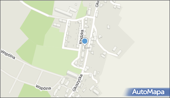 8861696674, Transport Drogowy Tadeusz Grabowski 