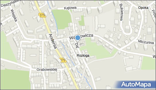 8861117682, Transport Drogowy-Taksówka Osobowa nr 555 Kamiński Włodzimierz 