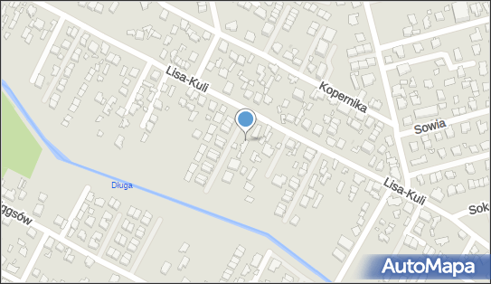 Transport Drogowy Towarów Andrzej Zych, ul. Leopolda Lisa-Kuli 74 05-270 - Przedsiębiorstwo, Firma, NIP: 1250831292