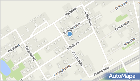 Transport Drogowy, Poznańska 4, Chylice-Kolonia 96-313 - Przedsiębiorstwo, Firma, NIP: 5291582072