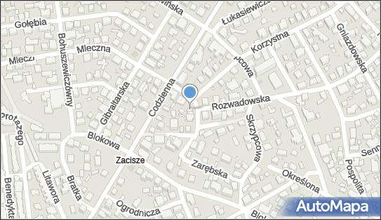 5242191443, Transport Drogowy, Michalski Stanisław 