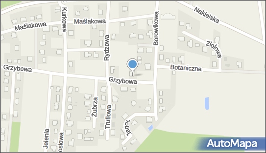 Transport i Spedycja Mich-Trans Michał Olszewski, Grzybowa 4 86-065 - Przedsiębiorstwo, Firma, NIP: 9671154485