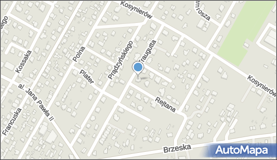 Transport Krajowy i Międzynarodowy P.w.Trans Paweł Wasiluk 21-500 - Przedsiębiorstwo, Firma, NIP: 5372373349