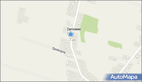 003884324, Transport Krajowy i Międzynarodowy, Spedycja, Jan Pogan 