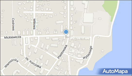 Transport Krajowy i Międzynarodowy, Piastowska 24, Susz 14-240 - Przedsiębiorstwo, Firma, numer telefonu, NIP: 5811259869