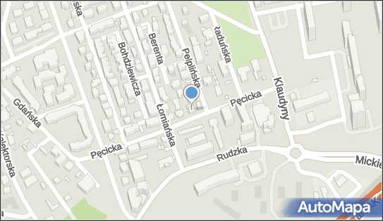 002183950, Transport Międzynarodowy Holowanie Pojazdów Leszek Zając 