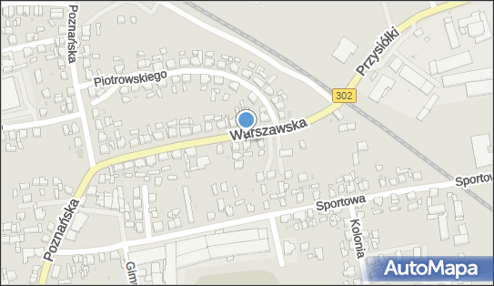 Transport Międzynarodowy Rafał Mazurkiewicz, Warszawska 24 64-360 - Przedsiębiorstwo, Firma, NIP: 9231206350