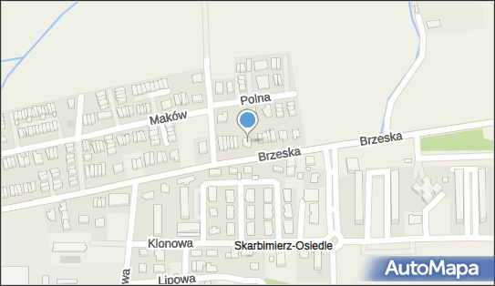 Transport Międzynarodowy, ul. Brzeska 21, Skarbimierz-Osiedle 49-318 - Przedsiębiorstwo, Firma, NIP: 7471897499