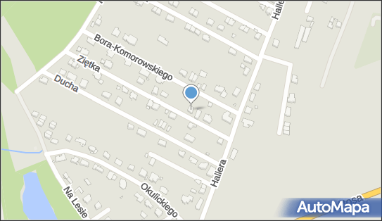 272736983, Transport Osobowo-Towarowy Mazur Jan 