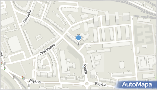 8991045455, Transport Osobowy Henryk Lewandowski 