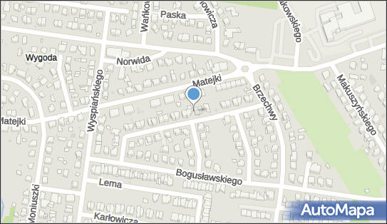 9660245586, Transport Osobowy Taksówką 