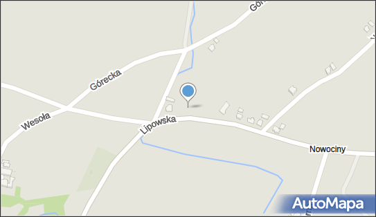 5481081628, Transport Osobowy Taxi Frycz Leon 