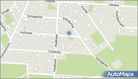 9521054687, Transport Osobowy, Wierzbicki Grzegorz 