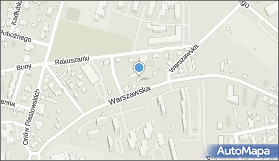 011818485, Transport Osobowy, Rybarczyk Paweł 