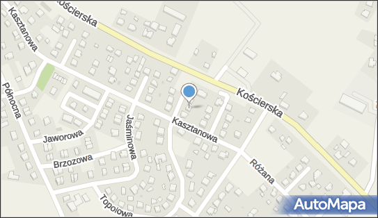 Transport Osobowy, Kasztanowa 22, Zblewo 83-210 - Przedsiębiorstwo, Firma, NIP: 5921920519