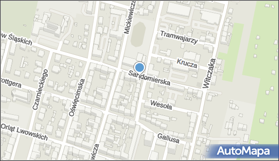 6261251655, Lamp Paweł, Transport Pasażerski 
