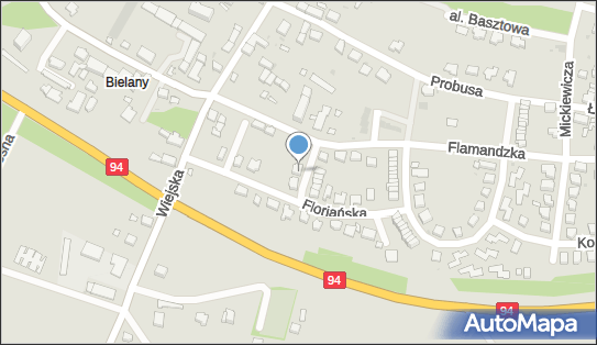 Transport Samochodowy Krzysztof Woś, Winnicza 2, Środa Śląska 55-300 - Przedsiębiorstwo, Firma, NIP: 9131264773
