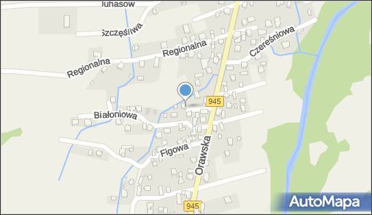 5531060351, Transport Samochodowy Towarowy Zyzak Tadeusz 
