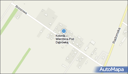 7991005389, Tadeusz Duralski Transport Samochodowy 