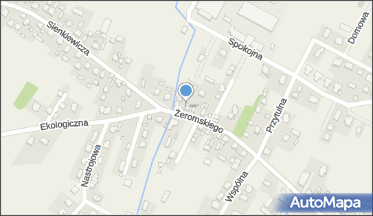 1250078274, Transport Samochodowy, Barankiewicz Adam 