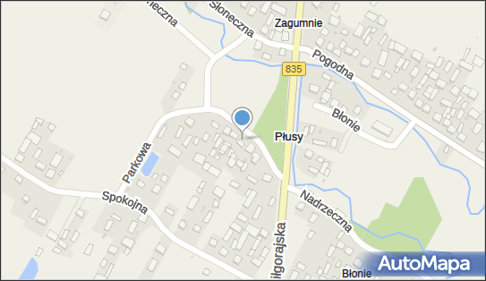 Transport, Stacja Paliw - Dariusz Larwa, Płusy 87, Płusy 23-415 - Przedsiębiorstwo, Firma, NIP: 9181626221