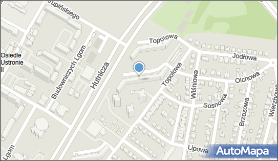 Transport Towarowy mgr Piotr Chowaniec, Topolowa 68, Lubin 59-300 - Przedsiębiorstwo, Firma, NIP: 6922447296