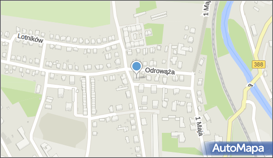 8810006754, Transport Towarowy Piech Aleksander 