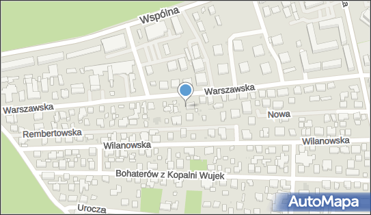 5252079044, Transport Towarowy Samochodowy Krajowy, Pogorzelski Andrzej 