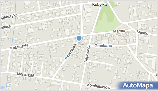 1250074419, Transport Towarowy Jurczak Jan 