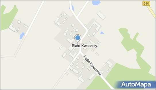 7231177423, Transport Towarowy-Tomasz Sienicki 