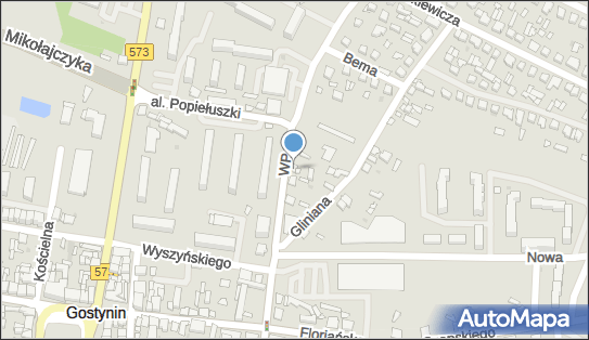 Trincze Import Kwiatkowska Elżbieta, Wojska Polskiego 7, Gostynin 09-500 - Przedsiębiorstwo, Firma, NIP: 9710021341