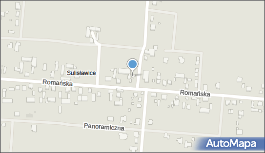 Trzęsowski & Synowie, Romańska 103, Kalisz 62-800 - Przedsiębiorstwo, Firma, numer telefonu, NIP: 6182002745