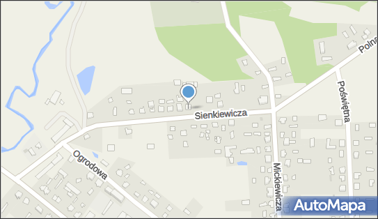 5432172704, Turanlar Polska J.Sobczyk, A.J.Grodzki 