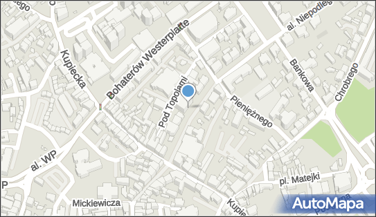Turkowiak Zielona Góra Paweł Turkowiak Jacek Turkowiak Rafał Turkowiak Wioletta Turkowiak Klamka 65-001 - Przedsiębiorstwo, Firma, NIP: 9730620820