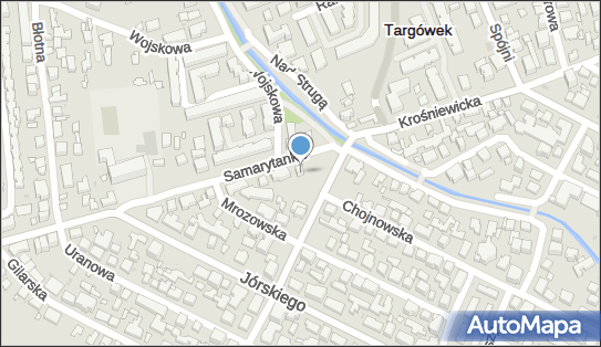 5242321785, Turtle Agnieszka Kijek 