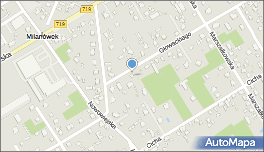 Tygrys, ul. Aleksandra Głowackiego 27, Milanówek 05-822 - Przedsiębiorstwo, Firma, NIP: 5291724230