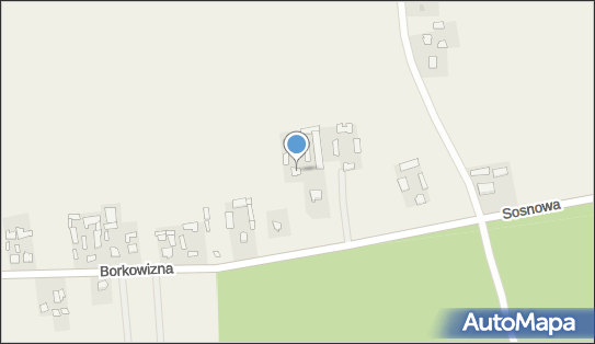 Tymi-Trans Paweł Tymiński, Borkowizna 3, Borkowizna 24-220 - Przedsiębiorstwo, Firma, NIP: 7132933531