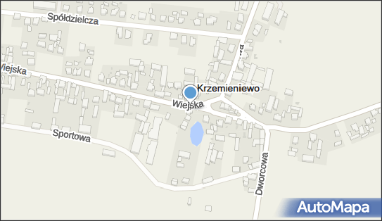 Ubój Gospodarczy Wojciech Kaczmarek Krzemieniewo, ul. Wiejska 101 64-120 - Przedsiębiorstwo, Firma, NIP: 6961278751