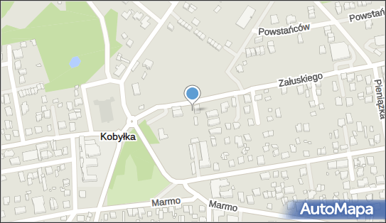 1250497611, Udzielanie Korepetycji, Pawlik Małgorzata 