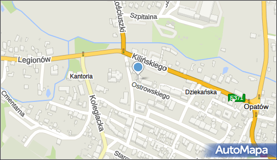 Udzielanie Korepetycji, ul. Tadeusza Kościuszki 10, Opatów 27-500 - Przedsiębiorstwo, Firma, NIP: 8631007984