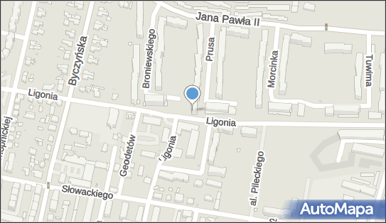 5761424992, Agent Ubezpieczeniowy Ewa Dachowska 