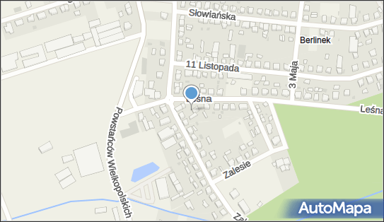 Uprawa Grzybów Aurelia Riedel, ul. Zalesie 32, Włoszakowice 64-140 - Przedsiębiorstwo, Firma, NIP: 6971827188