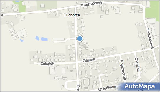 9231580019, Uprawa Grzybów Damian Tomys, Tuchorza 